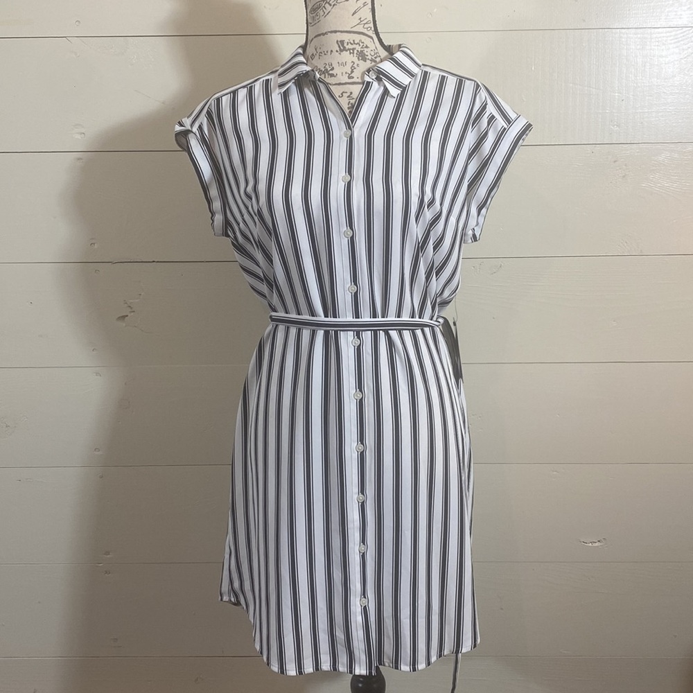 Express Button Down Shirt Dress
